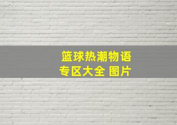 篮球热潮物语专区大全 图片